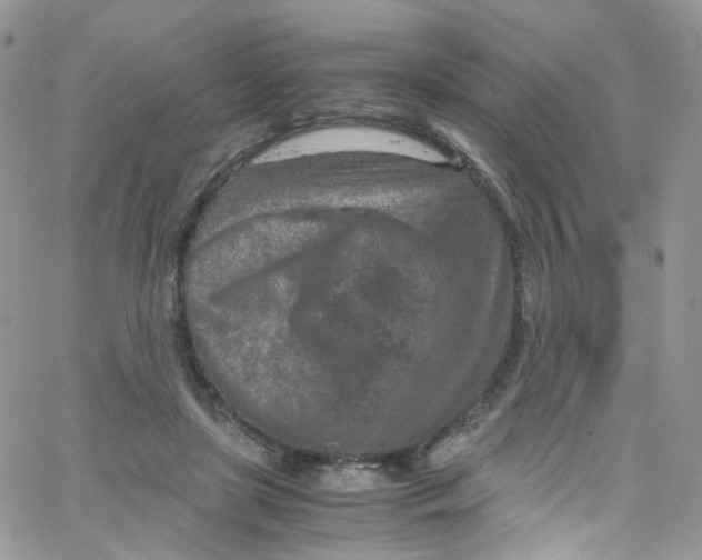 X0000065250451200603131132