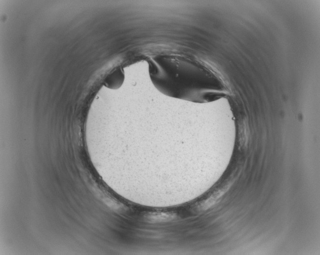 X0000065250453200603131132