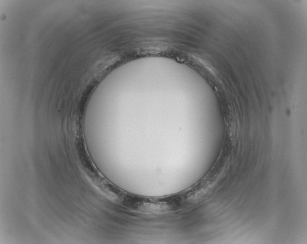 X0000065250455200603131132