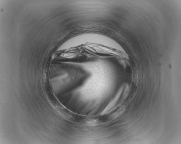 X0000065250456200603131132