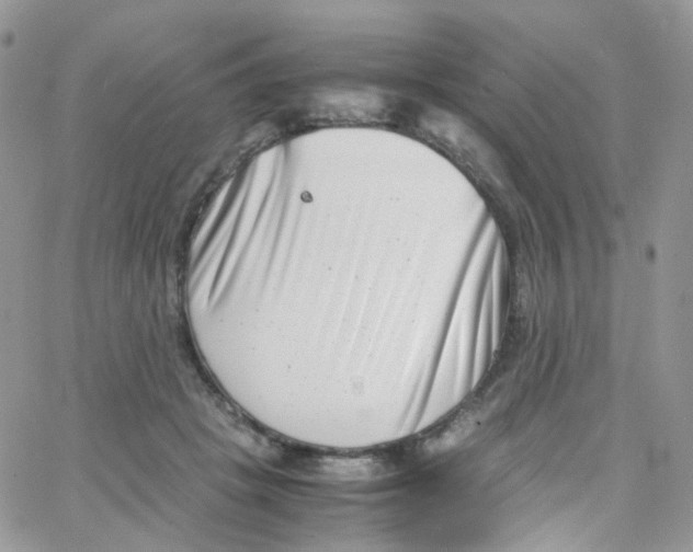 X0000065250457200603131132