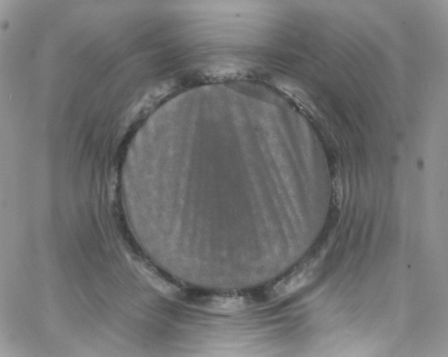 X0000065250458200603131132