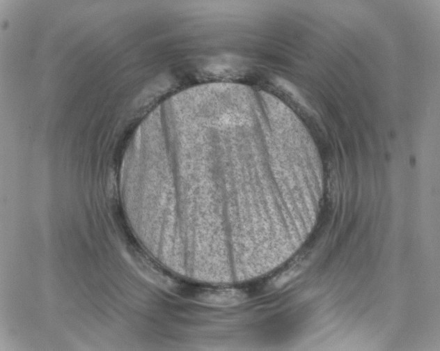 X0000065250459200603131132