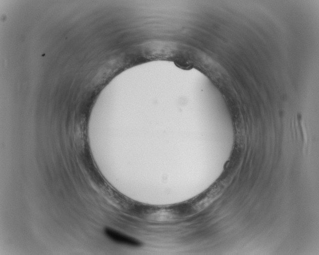 X0000065250460200603131132