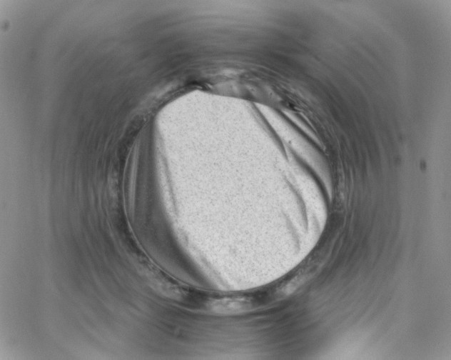 X0000065250461200603131132