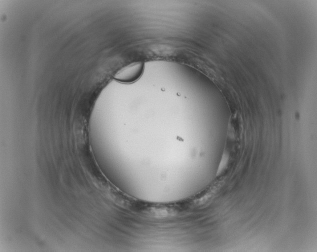 X0000065250464200603131132