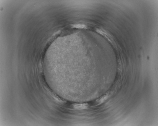 X0000065250465200603131132