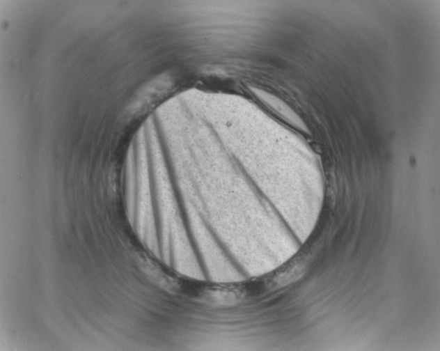 X0000065250466200603131132