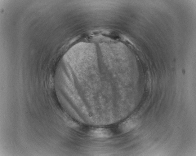 X0000065250467200603131132