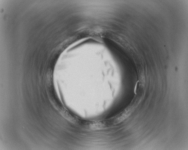 X0000065250468200603131132