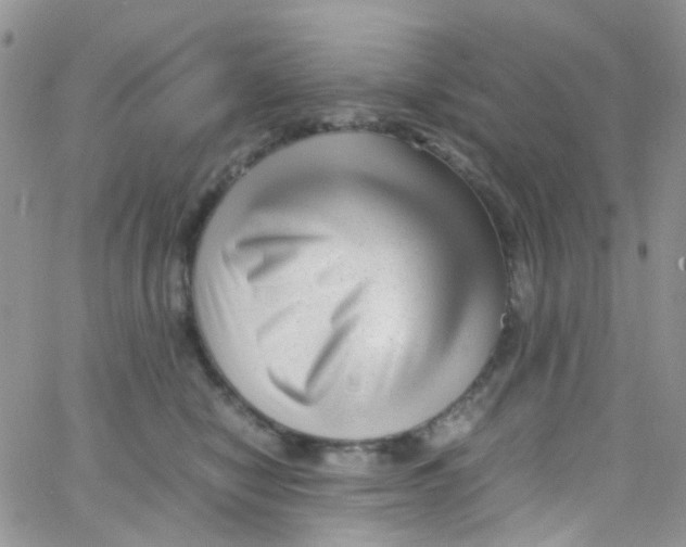 X0000065250470200603131132