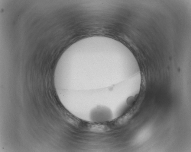 X0000065250471200603131132