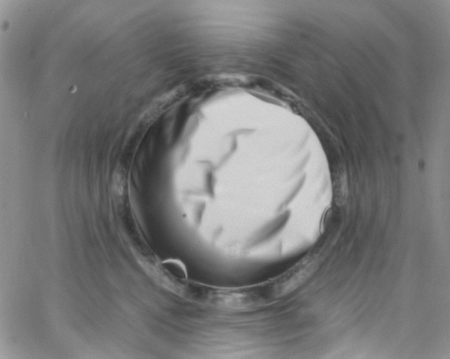 X0000065250472200603131132