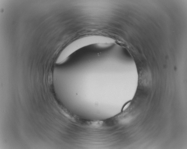 X0000065250474200603131132