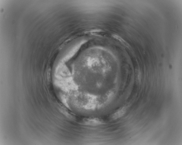 X0000065250475200603131132