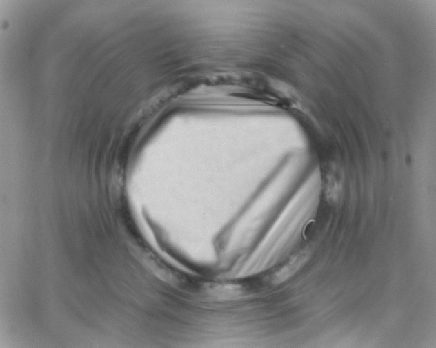 X0000065250476200603131132