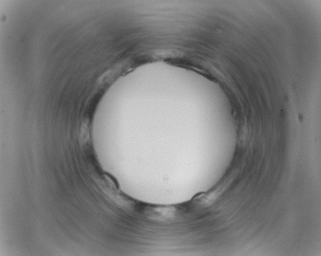 X0000065250478200603131132