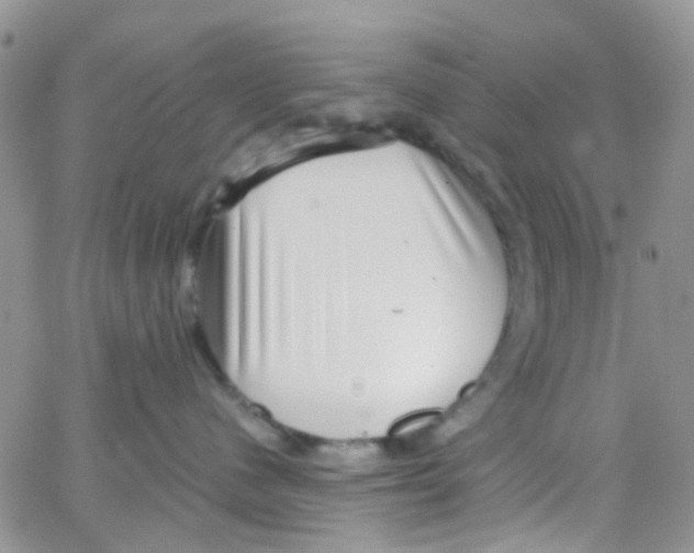 X0000065250480200603131132