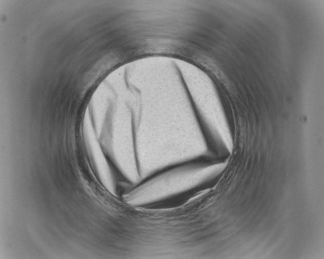 X0000065250482200603131132