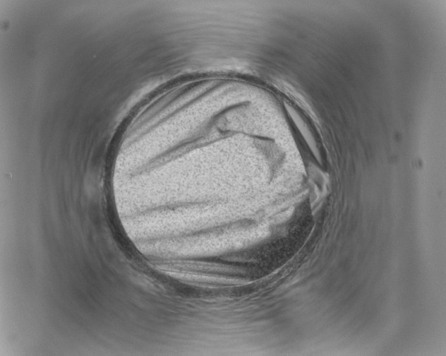 X0000065250483200603131132