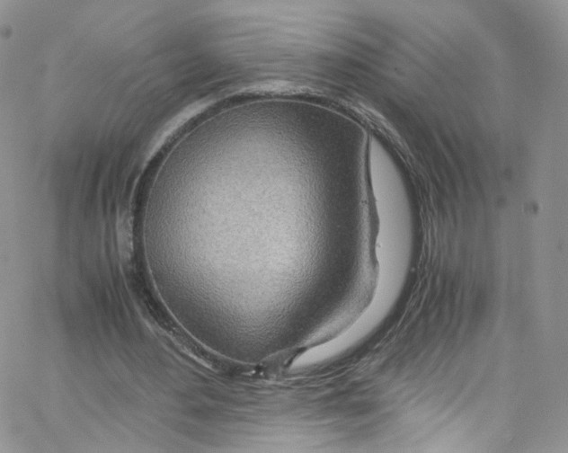 X0000065250484200603131132