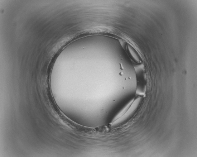 X0000065250485200603131132