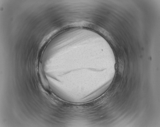 X0000065250486200603131132