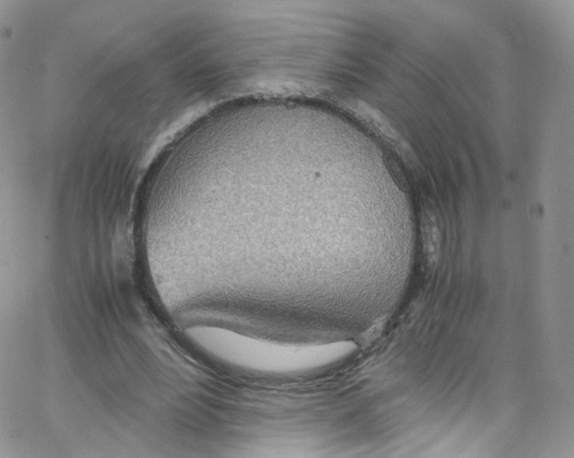 X0000065250488200603131132