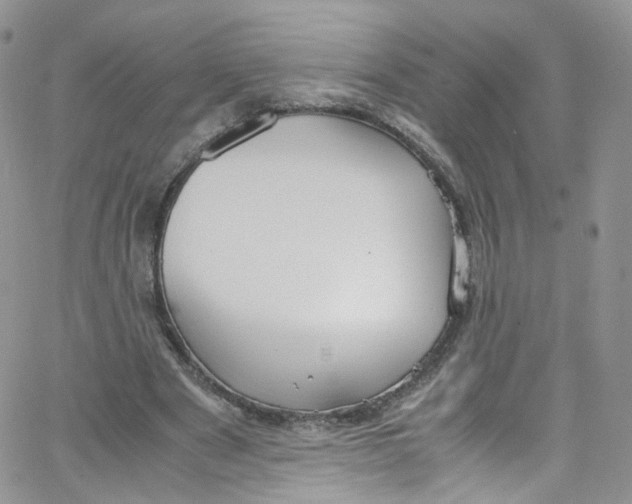 X0000065250489200603131131