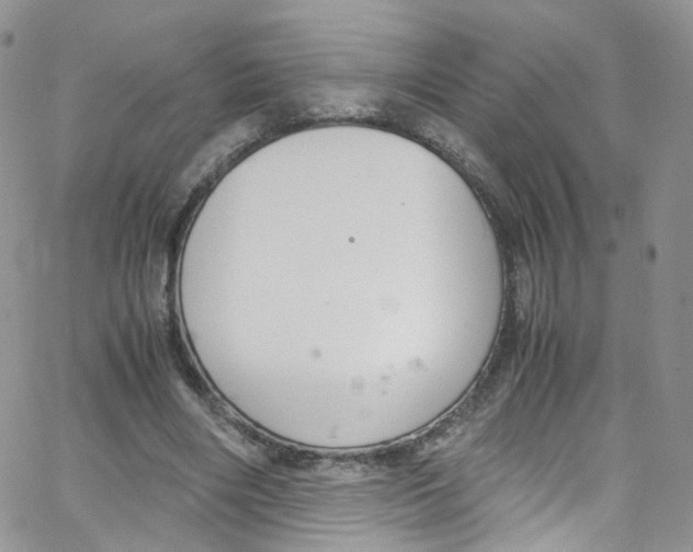 X0000065250490200603131131