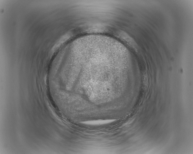 X0000065250491200603131131