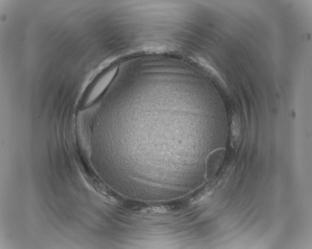 X0000065250492200603131131