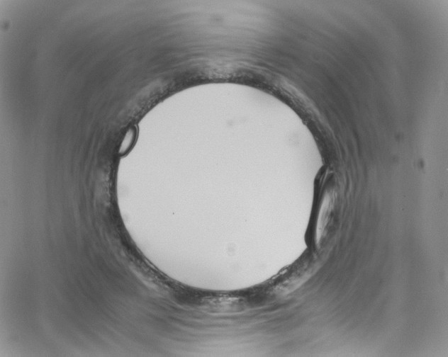 X0000065250497200603131131