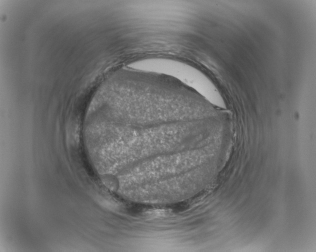 X0000065250499200603131131