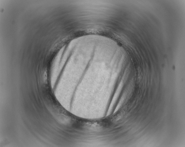 X0000065250502200603131131