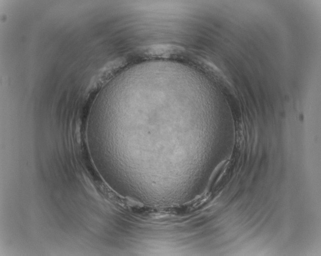 X0000065250504200603131131