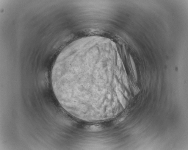 X0000065250506200603131131