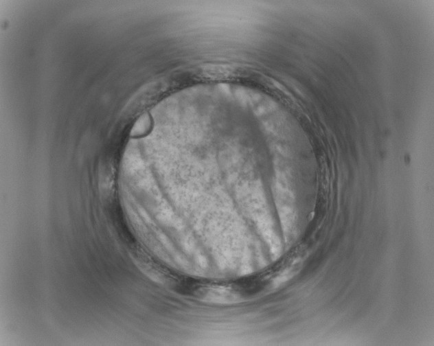 X0000065250507200603131131