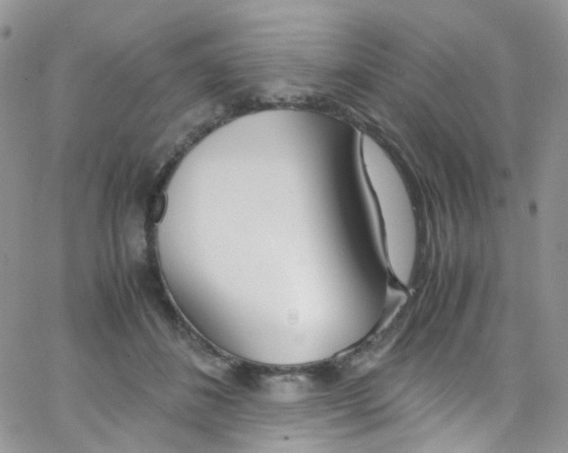 X0000065250508200603131131