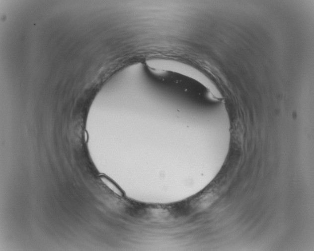 X0000065250509200603131131