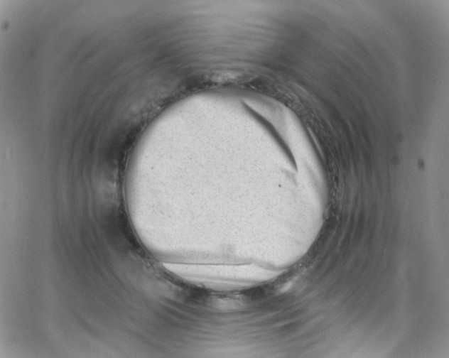 X0000065250510200603131131