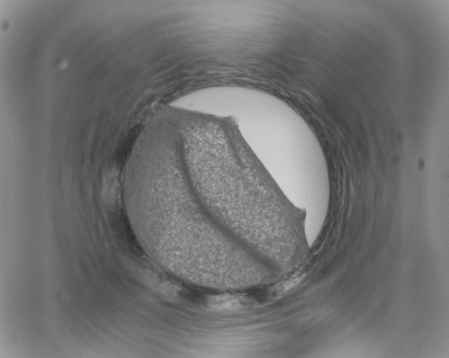 X0000065250511200603131131