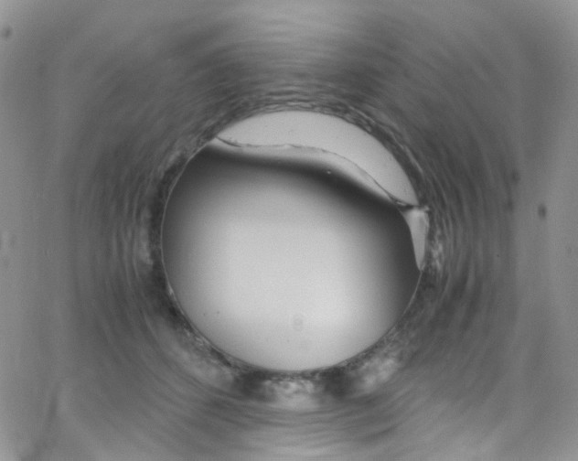 X0000065250512200603131131