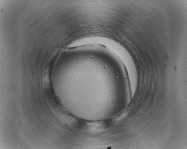 X0000065250516200603131131