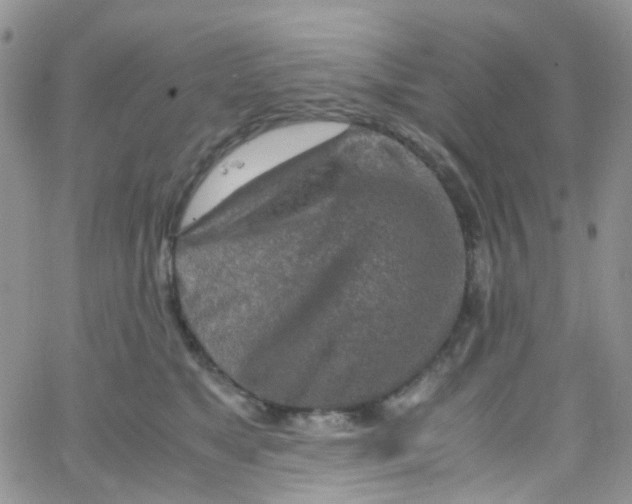 X0000065250517200603131131