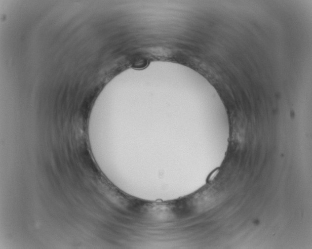 X0000065250518200603131131