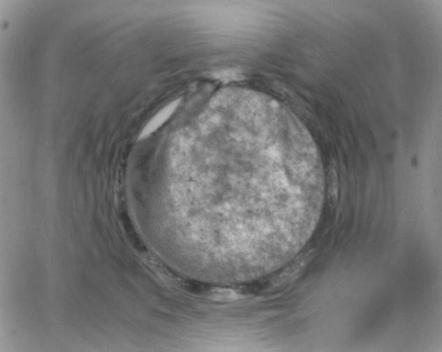 X0000065250519200603131131