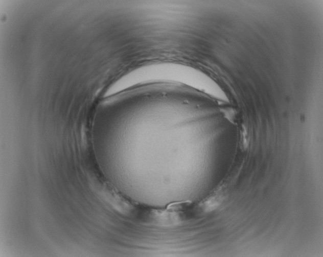 X0000065250520200603131131