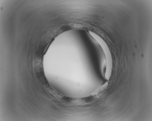 X0000065250521200603131131