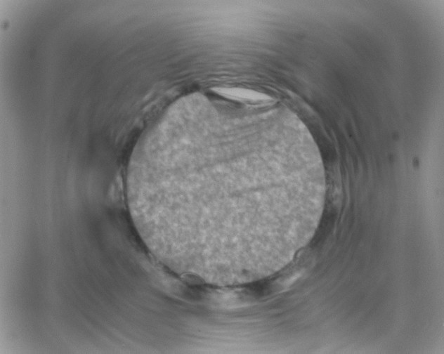 X0000065250523200603131131